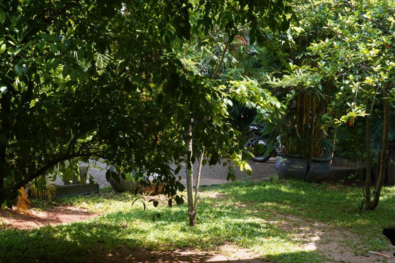 Sandra Guesthouse Dambulla Exterior foto